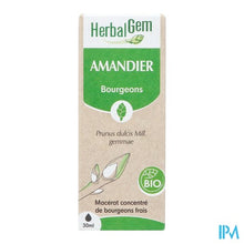 Afbeelding in Gallery-weergave laden, Herbalgem Amandel Bio 30ml
