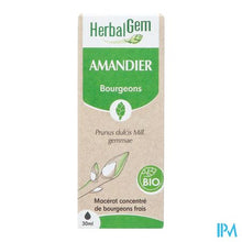 Afbeelding in Gallery-weergave laden, Herbalgem Amandel Bio 30ml
