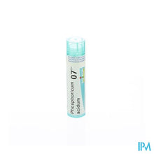 Load image into Gallery viewer, Phosphoricum Acidum 7ch Gr 4g Boiron
