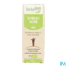 Charger l'image dans la galerie, Herbalgem Vlierbes Maceraat 15ml
