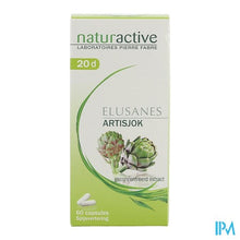 Charger l'image dans la galerie, Elusanes Artisjok Pot Gel 60 Nf
