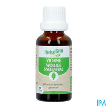 Load image into Gallery viewer, Herbalgem Sneeuwbal Bio 30ml
