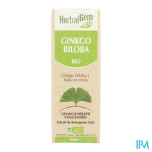 Charger l'image dans la galerie, Herbalgem Ginkgo Biloba Maceraat 50ml
