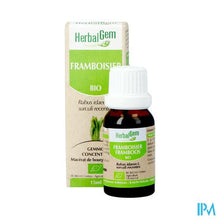 Charger l'image dans la galerie, Herbalgem Frambozen Maceraat 15ml
