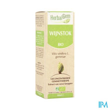 Afbeelding in Gallery-weergave laden, Herbalgem Wijnstok Maceraat 50ml
