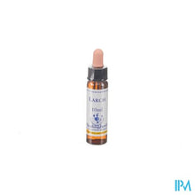 Afbeelding in Gallery-weergave laden, Healing Herbs Larch 10ml
