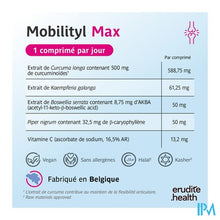 Afbeelding in Gallery-weergave laden, Mobilityl Max Tabl 90+15 Nf

