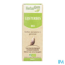 Charger l'image dans la galerie, Herbalgem Lijsterbes Maceraat 50ml
