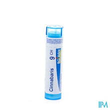Afbeelding in Gallery-weergave laden, Cinnabaris 9ch Gr 4g Boiron
