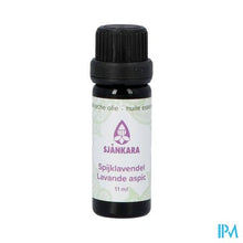 Charger l'image dans la galerie, Sjankara Spijklavendel Ess. Olie Bio 11ml

