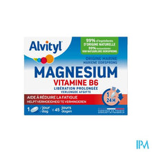 Afbeelding in Gallery-weergave laden, Alvityl Magnesium Gummies 45
