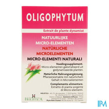 Charger l'image dans la galerie, Oligophytum Lithium Tube Microcomp 3x100 Holistica
