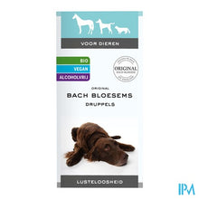 Afbeelding in Gallery-weergave laden, Bachbloesem Dieren Lusteloosheid Druppels 20ml
