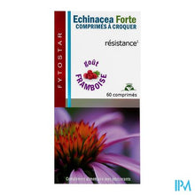 Load image into Gallery viewer, Fytostar Echinacea Forte Kauwtabl 60
