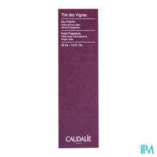 Load image into Gallery viewer, Caudalie Eau Fraiche The Des Vignes 50ml Nf
