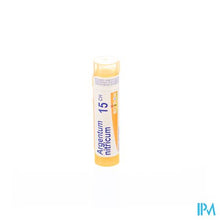 Load image into Gallery viewer, Argentum Nitricum 15ch Gr 4g Boiron
