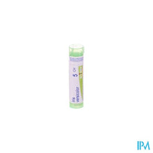 Charger l&#39;image dans la galerie, Iris Versicolor 5ch Gr 4g Boiron
