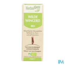 Charger l'image dans la galerie, Herbalgem Wilde Wingerd Maceraat 15ml

