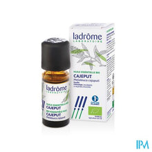 Afbeelding in Gallery-weergave laden, Ladrome Melaleuca Leucadendron/cajeput 10ml
