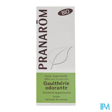 Afbeelding in Gallery-weergave laden, Pranarom Eo Bergthee Bio 10ml
