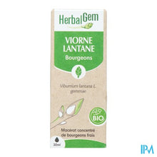 Charger l'image dans la galerie, Herbalgem Sneeuwbal Bio 30ml
