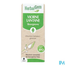 Load image into Gallery viewer, Herbalgem Sneeuwbal Bio 30ml
