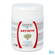 Load image into Gallery viewer, Ergyvet Artidyn Pot 110g
