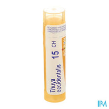 Afbeelding in Gallery-weergave laden, Thuya Occidentalis 15ch Gr 4g Boiron
