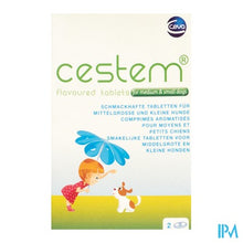 Charger l'image dans la galerie, Cestem Tabl 2 Middelgrote Kleine Honden
