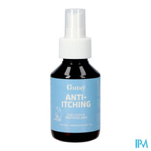 Charger l'image dans la galerie, Gutsy A/jeuk Spray 100ml
