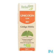 Charger l'image dans la galerie, Herbalgem Ginkgogem Complexe Gutt 15ml
