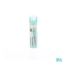 Afbeelding in Gallery-weergave laden, Calcarea Carbonica Ostrearum Mk Gr 4g Boiron
