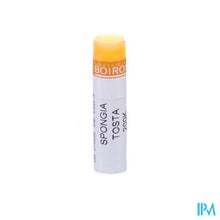 Charger l'image dans la galerie, Spongia Tosta 200k Gl Boiron
