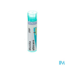 Load image into Gallery viewer, Monilia Albicans 200k Gr 4g Boiron
