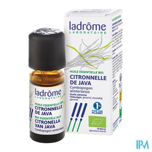 Charger l'image dans la galerie, Ladrome Cymbopogon Winterianus/citronella Java10ml
