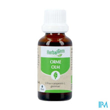Afbeelding in Gallery-weergave laden, Herbalgem Olm Bio 30ml
