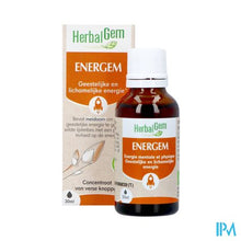 Charger l'image dans la galerie, Herbalgem Energem Bio 30ml
