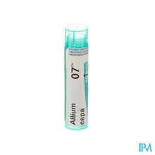 Afbeelding in Gallery-weergave laden, Allium Cepa 7ch Gr 4g Boiron
