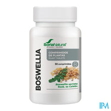 Charger l'image dans la galerie, Soria Boswellia Mgdose Vit Complex Tabl 30
