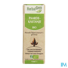 Charger l'image dans la galerie, Herbalgem Paardekastanje Maceraat 15ml
