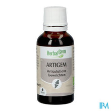 Afbeelding in Gallery-weergave laden, Herbalgem Artigem Bio 30ml
