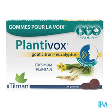 Afbeelding in Gallery-weergave laden, Plantivox Pastilles 24
