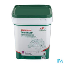 Afbeelding in Gallery-weergave laden, Primeval Gelatinaat Paarden 5kg
