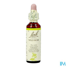 Charger l'image dans la galerie, Bach Flower Remedie 37 Wild Rose 20ml
