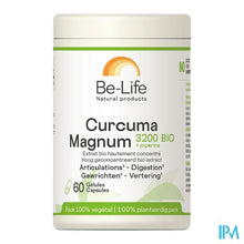 Afbeelding in Gallery-weergave laden, Curcuma Magnum 3200 Be Life Bio Pot Caps 60
