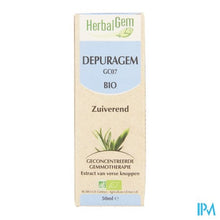 Afbeelding in Gallery-weergave laden, Herbalgem Depuragem Complex 50ml
