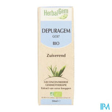 Load image into Gallery viewer, Herbalgem Depuragem Complex 50ml
