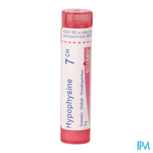 Afbeelding in Gallery-weergave laden, Hypophysine 7ch Gr 4g Boiron
