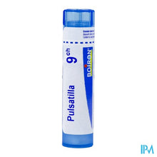 Load image into Gallery viewer, Pulsatilla 9ch Gr 4g Boiron
