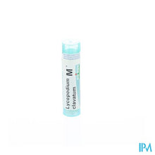 Load image into Gallery viewer, Lycopodium Clavatum Mk Gr 4g Boiron
